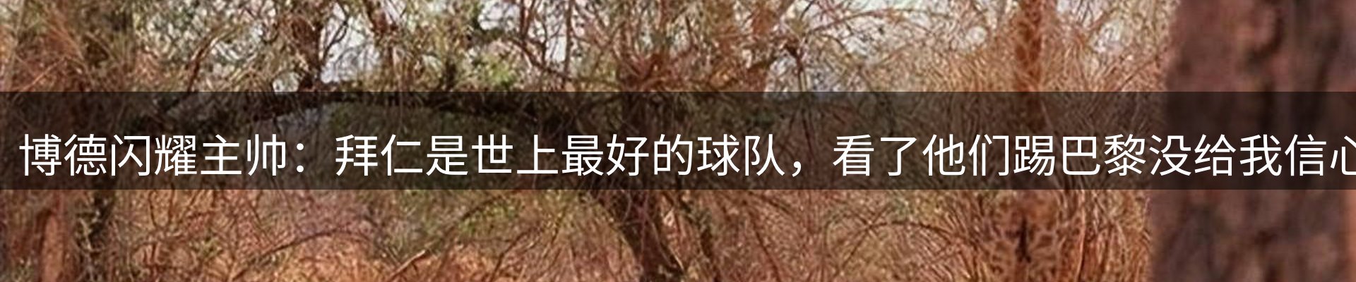 公司快讯